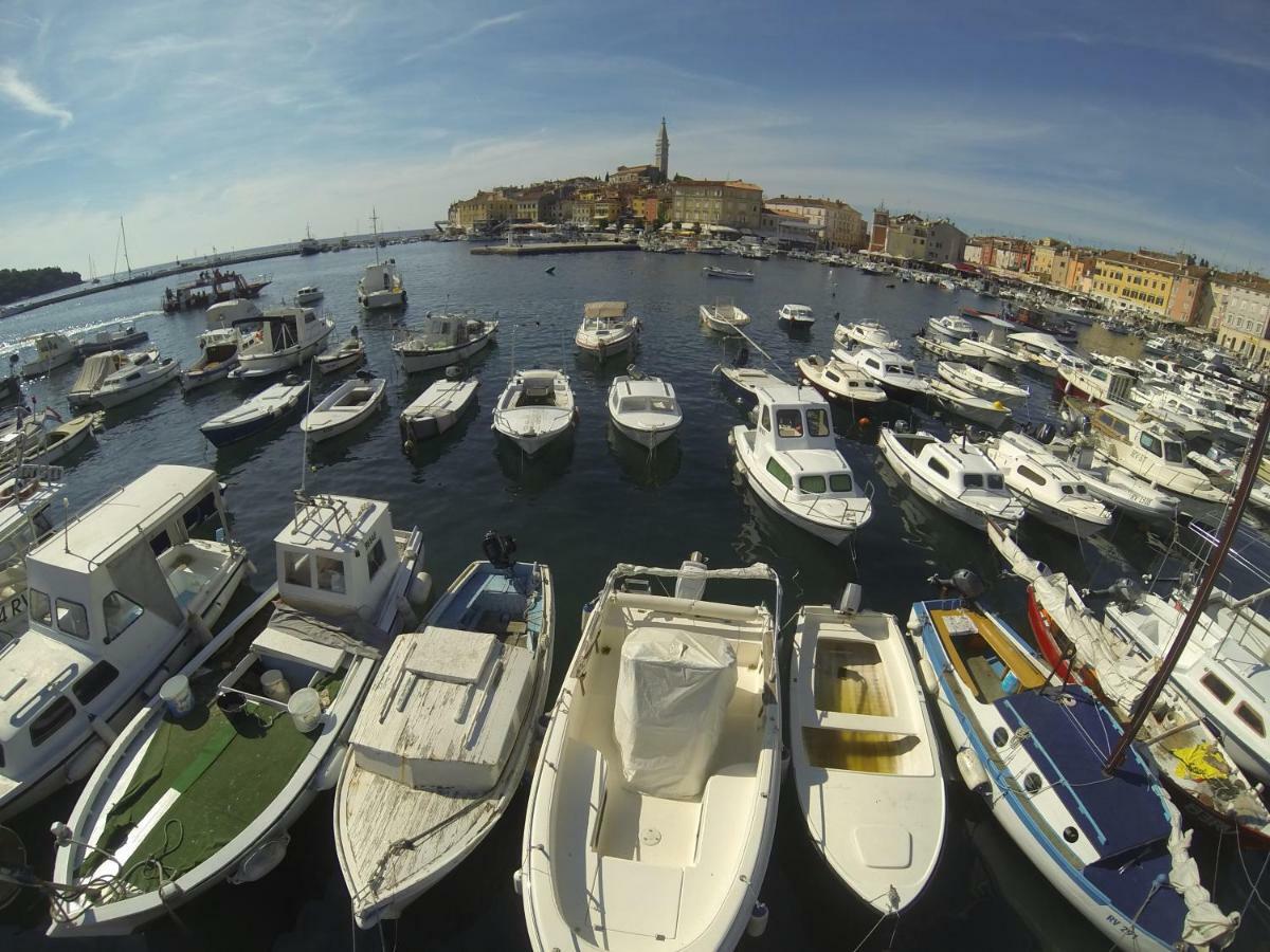Apartma Jelka Novigrad Istria Exteriör bild