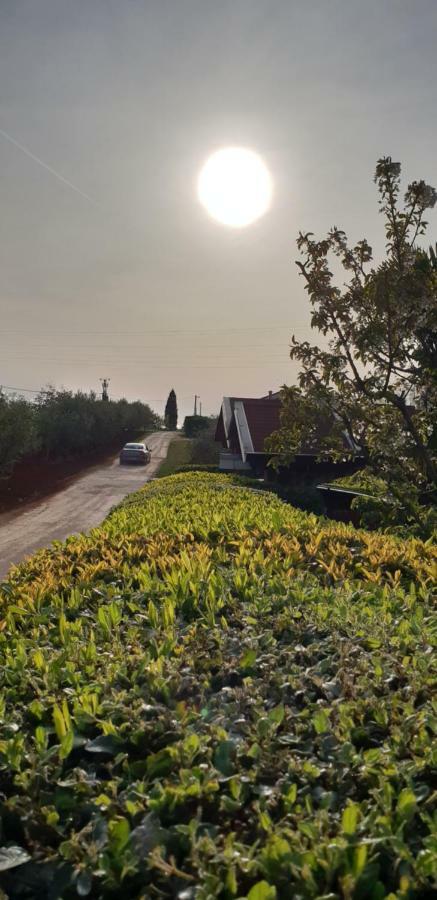 Apartma Jelka Novigrad Istria Exteriör bild