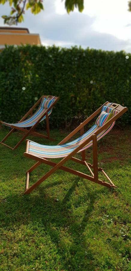 Apartma Jelka Novigrad Istria Exteriör bild