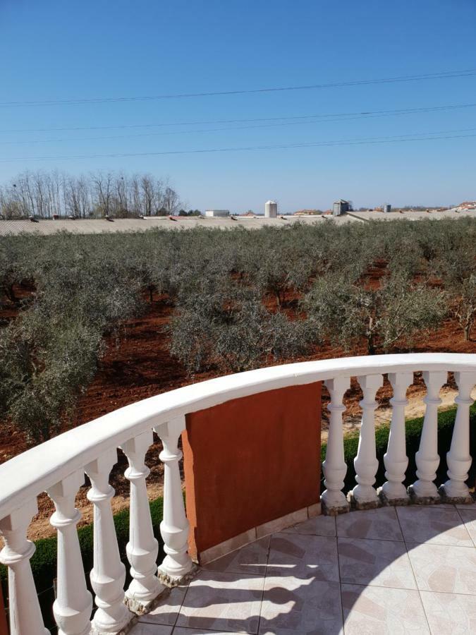 Apartma Jelka Novigrad Istria Exteriör bild